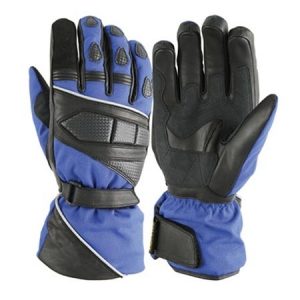 Winter Glove
